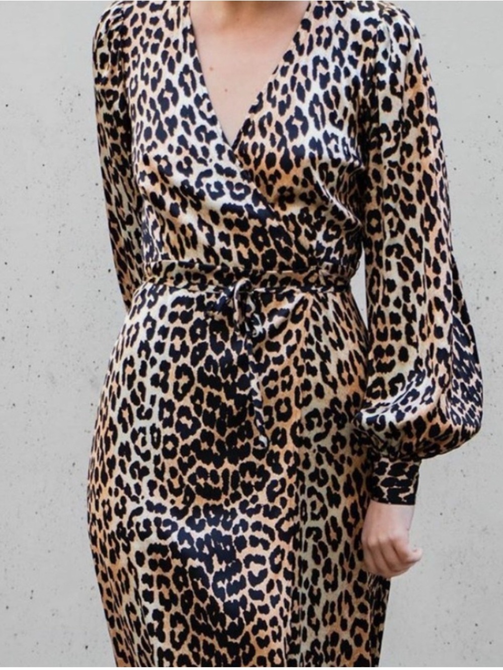 NWT Ganni Leopard Print Silk Maxi Dress